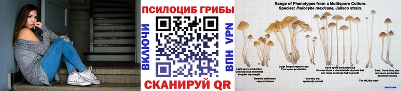 цены наркотик  Макушино  Псилоцибиновые грибы Magic Shrooms 